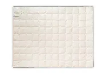 Ekspresowa dostawa Kołdra puchowa 90% 200x220 Silver letnia 570g biała AMZ